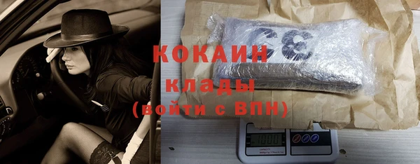 дмт Белокуриха