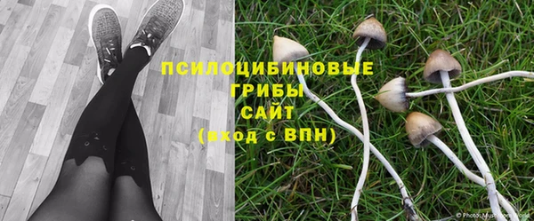 марихуана Баксан