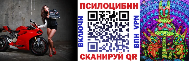 KRAKEN ТОР  Кудрово  Галлюциногенные грибы Magic Shrooms 
